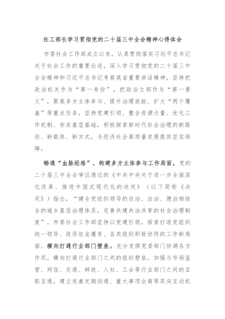 社工部长学习贯彻党的二十届三中全会精神心得体会