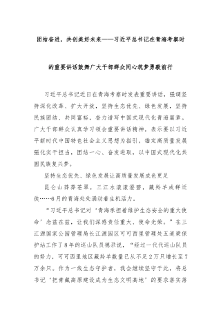 团结奋进，共创美好未来——习总书记在青海考察时的重要讲话鼓舞广大干部群众同心筑梦勇毅前行