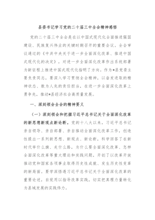 县委书记学习党的二十届三中全会精神感悟