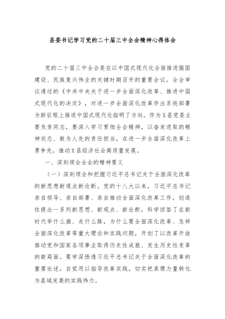 县委书记学习党的二十届三中全会精神心得体会