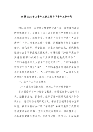 XX镇2024年上半年工作总结与下半年工作计划