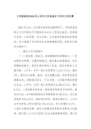 X市财政局2024年上半年工作总结及下半年工作打算