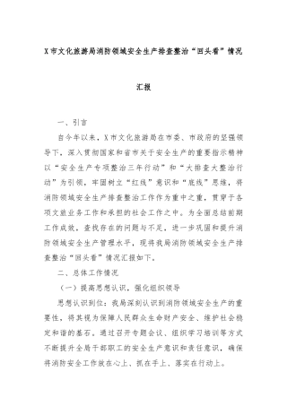 X市文化旅游局消防领域安全生产排查整治“回头看”情况汇报