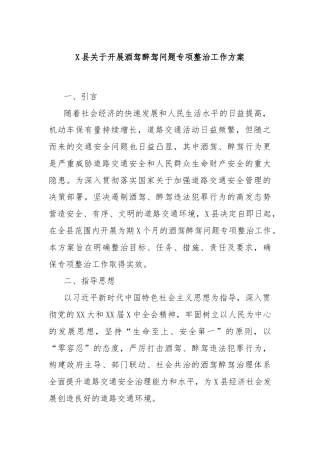 X县关于开展酒驾醉驾问题专项整治工作方案