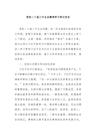 党的二十届三中全会精神学习研讨发言