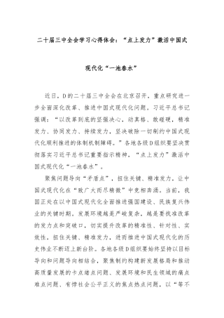 二十届三中全会学习心得体会：“点上发力”激活中国式现代化“一池春水”