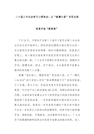 二十届三中全会学习心得体会：以“挺膺之姿”书写全面改革开放“新答卷”