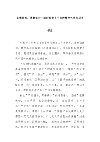 奋楫扬帆，勇毅前行—新时代党员干部的精神气质与历史担当