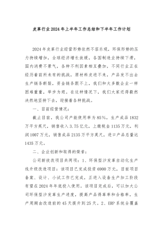 皮革行业2024年上半年工作总结和下半年工作计划