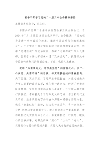 青年干部学习党的二十届三中全会精神感悟
