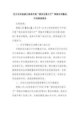 区文化和旅游文物局开展“落实过紧日子”领域专项整治行动核查报告