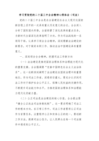 学习贯彻党的二十届三中全会精神心得体会（司法）