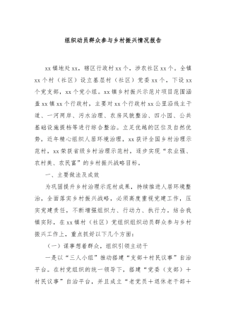 组织动员群众参与乡村振兴情况报告