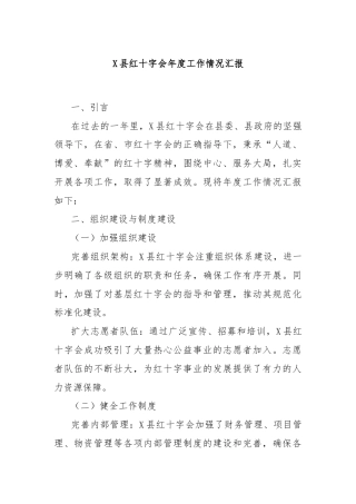 X县红十字会年度工作情况汇报