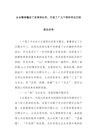 全会精神撬动了改革的杠杆，引起了广大干部和同志们的深切共鸣