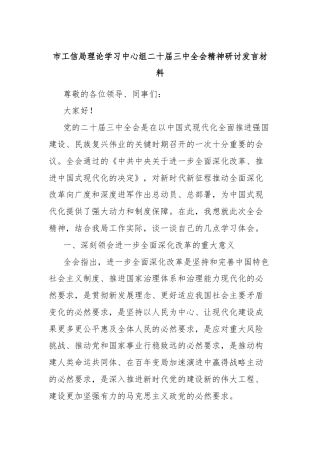 市工信局理论学习中心组二十届三中全会精神研讨发言材料