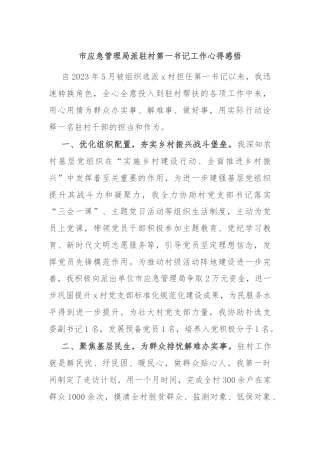 市应急管理局派驻村第一书记工作心得感悟