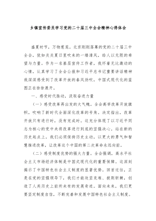 乡镇宣传委员学习党的二十届三中全会精神心得体会