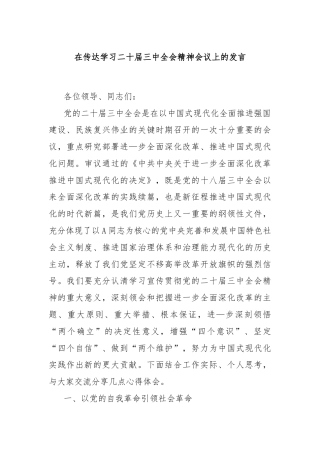 在传达学习二十届三中全会精神会议上的发言