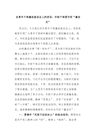 在青年干部廉政座谈会上的讲话：年轻干部要守好“廉洁关”
