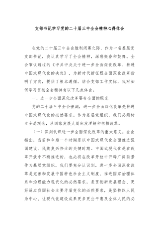 支部书记学习党的二十届三中全会精神心得体会
