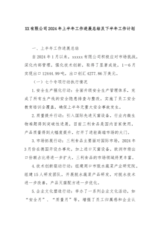 XX有限公司2024年上半年工作进展总结及下半年工作计划