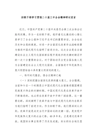 妇联干部学习贯彻二十届三中全会精神研讨发言