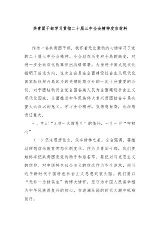 共青团干部学习贯彻二十届三中全会精神发言材料
