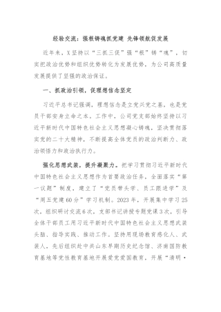 经验交流：强根铸魂抓党建 先锋领航促发展