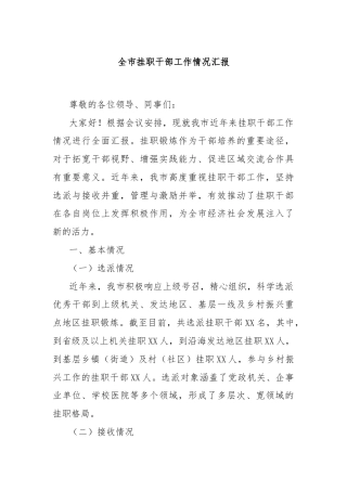 全市挂职干部工作情况汇报