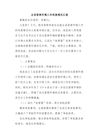 全县营商环境工作进展情况汇报