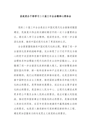县政府办干部学习二十届三中全会精神心得体会
