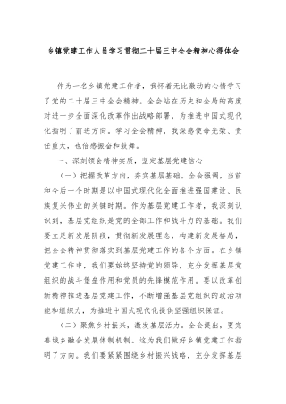 乡镇党建工作人员学习贯彻二十届三中全会精神心得体会