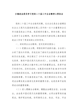 乡镇政法委员学习党的二十届三中全会精神心得体会