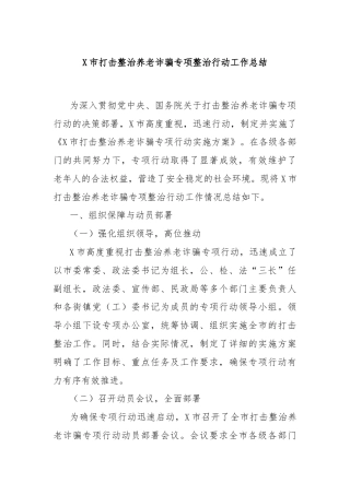 X市打击整治养老诈骗专项整治行动工作总结