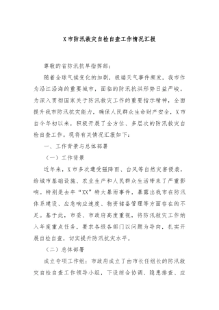 X市防汛救灾自检自查工作情况汇报