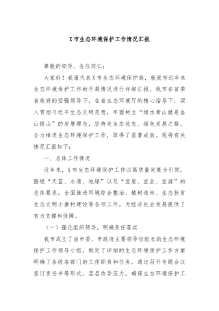 X市生态环境保护工作情况汇报