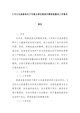X市文化旅游局关于对重点景区隐患问题排查整治工作情况报告