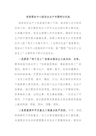 党委理论中心组安全生产专题研讨交流