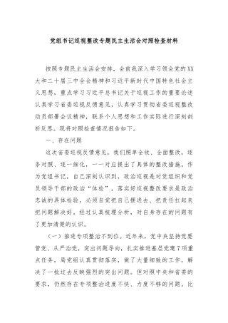 党组书记巡视整改专题民主生活会对照检查材料