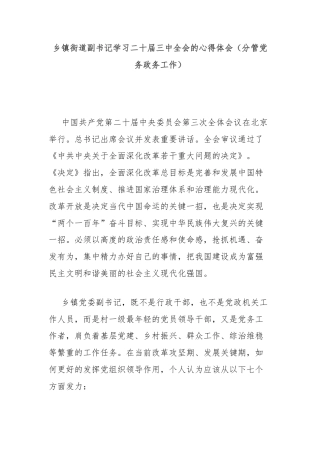 乡镇街道副书记学习二十届三中全会的心得体会（分管党务政务工作）