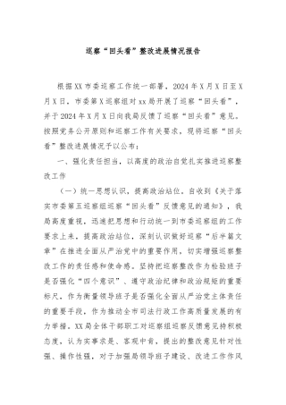 巡察“回头看”整改进展情况报告