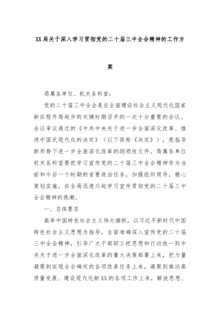 XX局关于深入学习贯彻党的二十届三中全会精神的工作方案
