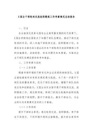 X国企干部轮岗交流挂职锻炼工作考察情况总结报告