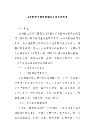 X市创建全国文明城市自查自评报告