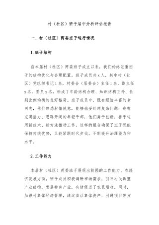 村（社区）班子届中分析评估报告