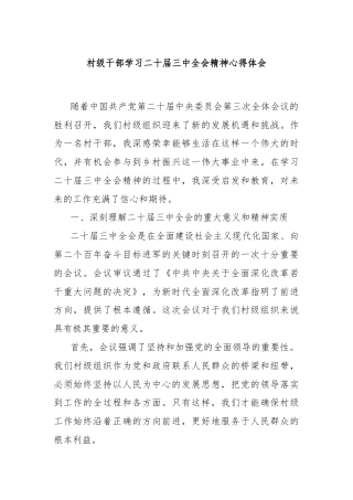村级干部学习二十届三中全会精神心得体会
