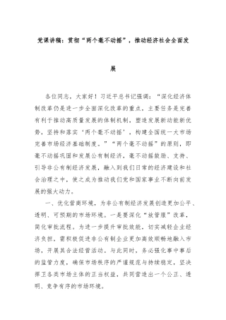 党课讲稿：贯彻“两个毫不动摇”，推动经济社会全面发展