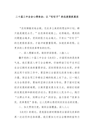 二十届三中全会心得体会：以“钉钉子”的态度狠抓落实