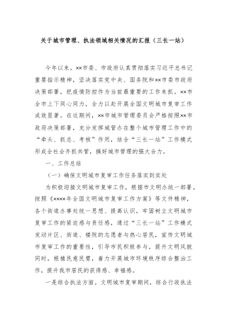 关于城市管理、执法领域相关情况的汇报（三长一站）